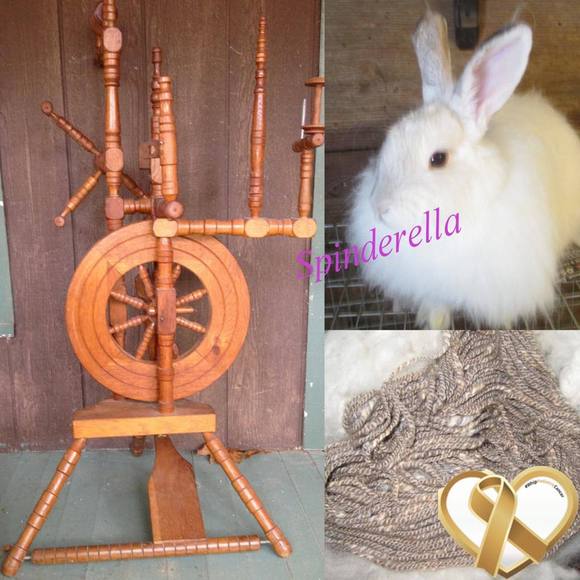 Meet your Posher, Sylvia - Picture 1 of 1